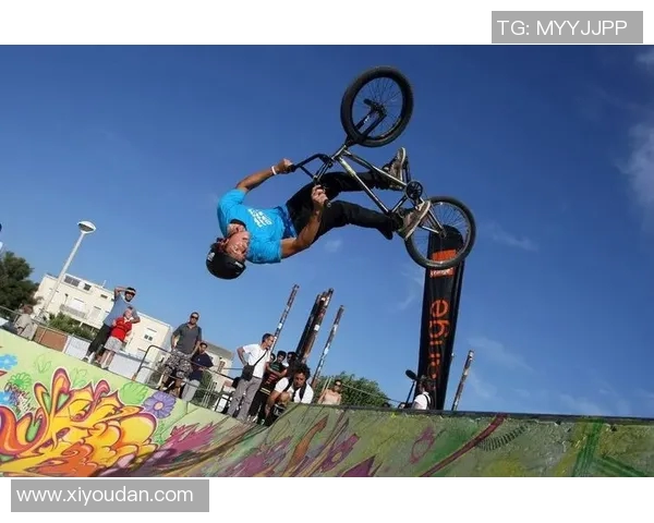 西安极限运动队心理素质分析及其对竞技表现的影响研究